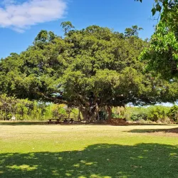 Maui Nui Botanical Gardens - Wailuku