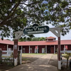 Pukalani Stables - Wailuku
