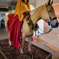 Pukalani Stables - Wailuku