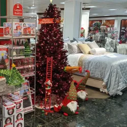 Queen Kaahumanu Center - Wailuku