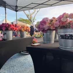 Wailuku Farmers Market - Wailuku