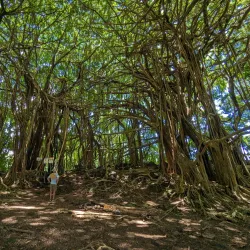 Wailuku River State Park - Wailuku