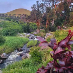 Anna Ranch Heritage Center - Waimea