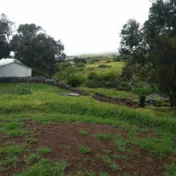 Anna Ranch Heritage Center - Waimea