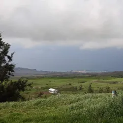 Kohala Mountain Road - Waimea
