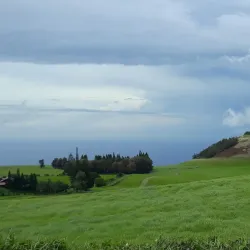 Kohala Mountain Road - Waimea
