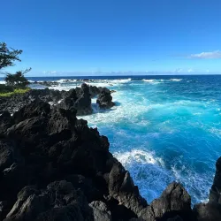 Laupahoehoe Point Beach Park - Waimea