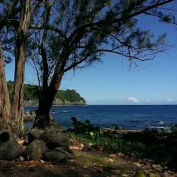 Laupahoehoe Point Beach Park - Waimea