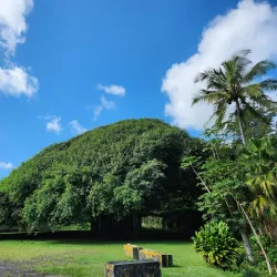 Laupahoehoe Point Beach Park - Waimea