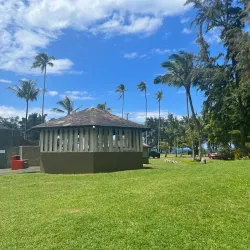 Laupahoehoe Point Beach Park - Waimea