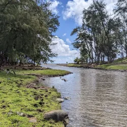 Pololu Valley Lookout - Waimea
