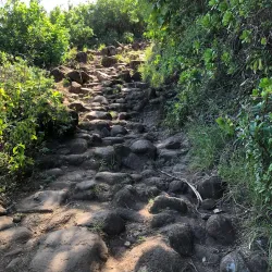 Pololu Valley Lookout - Waimea