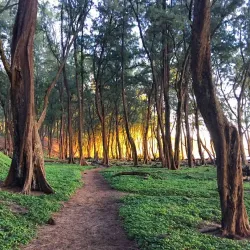 Pololu Valley Lookout - Waimea