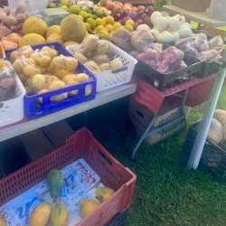 Waimea Farmers Market - Waimea