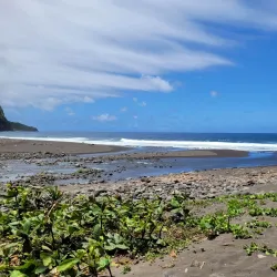 Waipio Valley - Waimea