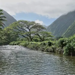 Waipio Valley - Waimea