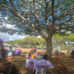 Waipahu Community Park - Waipahu