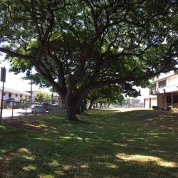 Waipahu District Park - Waipahu