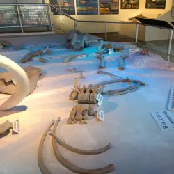 Bingham County Historical Museum - Blackfoot