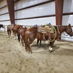 Snake River Stampede Rodeo - Blackfoot