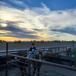 Snake River Stampede Rodeo - Blackfoot