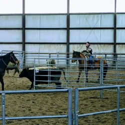 Snake River Stampede Rodeo - Blackfoot