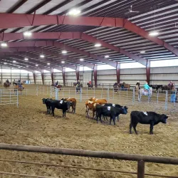 Snake River Stampede Rodeo - Blackfoot