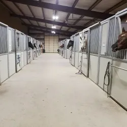 Snake River Stampede Rodeo - Blackfoot