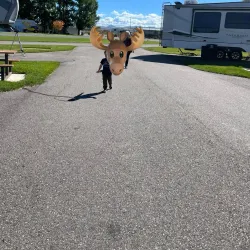 Willow Bay Recreation Area - Blackfoot