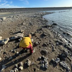 Willow Bay Recreation Area - Blackfoot