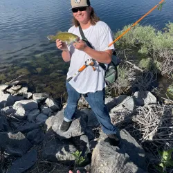 Willow Bay Recreation Area - Blackfoot