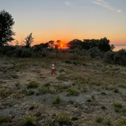 Willow Bay Recreation Area - Blackfoot