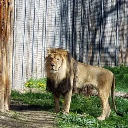 Boise Zoo - Boise