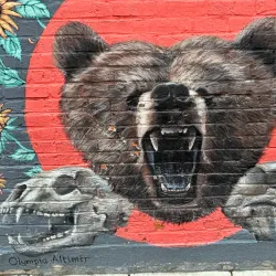 Freak Alley Gallery - Boise