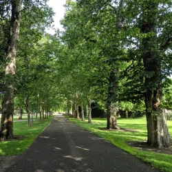 Julia Davis Park - Boise