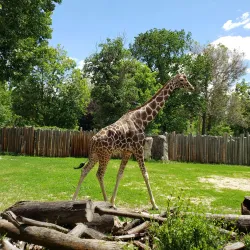 Julia Davis Park - Boise