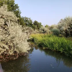 Kathryn Albertson Park - Boise