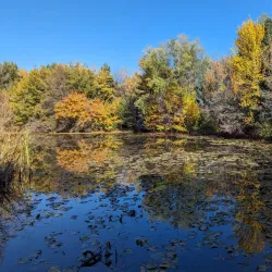 Kathryn Albertson Park - Boise