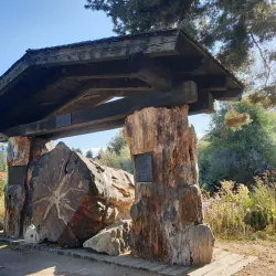 Kathryn Albertson Park - Boise