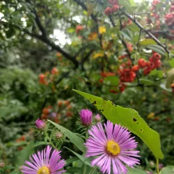 Kathryn Albertson Park - Boise