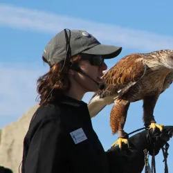 World Center for Birds of Prey - Boise