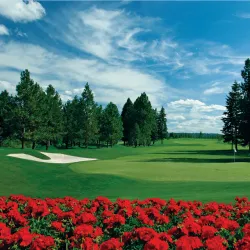 Coeur d'Alene Golf Course - Coeur d'Alene