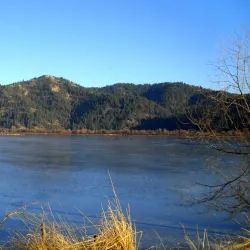 Harrison Slough Wildlife Viewing Area - Coeur d'Alene