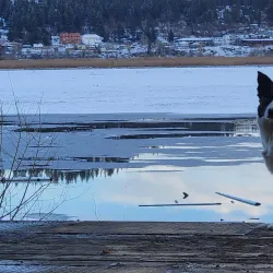 Harrison Slough Wildlife Viewing Area - Coeur d'Alene