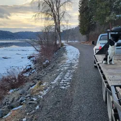 Harrison Slough Wildlife Viewing Area - Coeur d'Alene