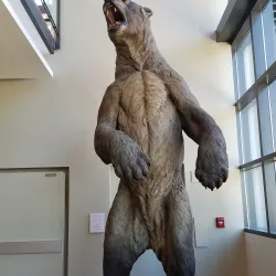 Northwest Museum of Arts & Culture - Coeur d'Alene