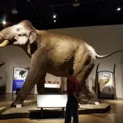 Northwest Museum of Arts & Culture - Coeur d'Alene