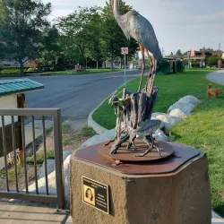 Tubbs Hill Nature Trails - Coeur d'Alene