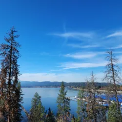 Tubbs Hill Nature Trails - Coeur d'Alene