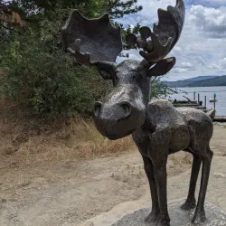 Tubbs Hill Nature Trails - Coeur d'Alene